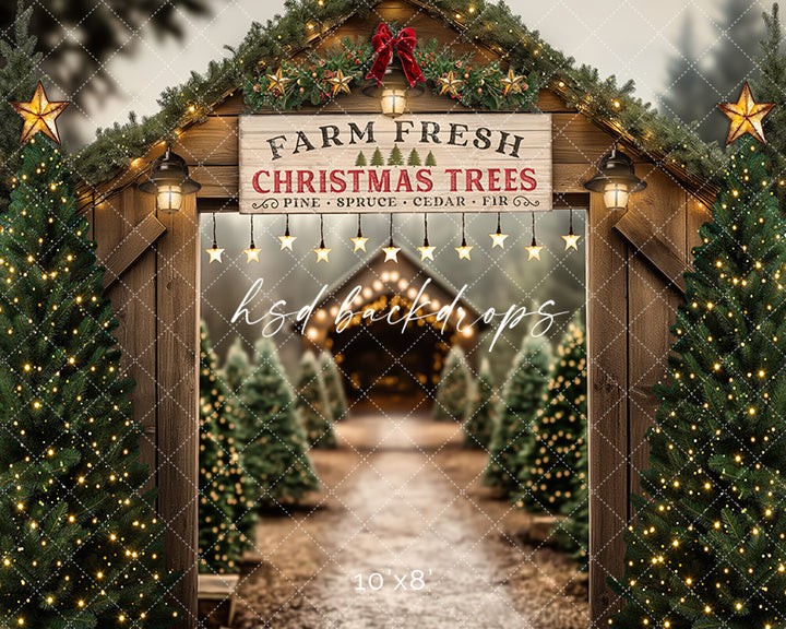 Christmas Room - CHS65473 - HSD Photography Backdrops