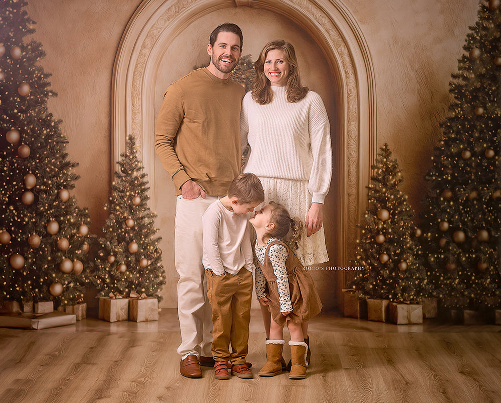 Arched Christmas Wall (sweep options) - HSD Photography Backdrops