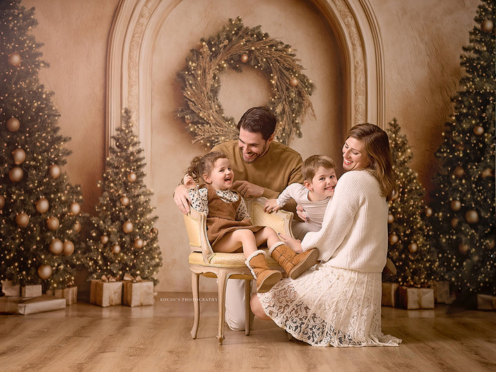 Arched Christmas Wall (sweep options) - HSD Photography Backdrops