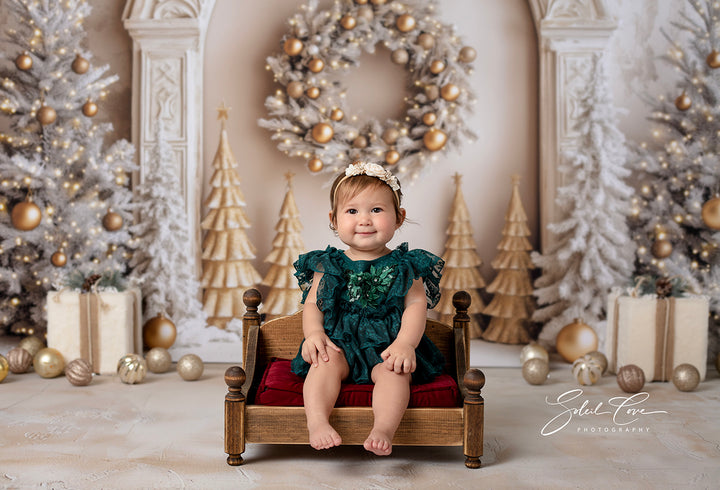 Elegant Arched Christmas Wall (sweep options) - HSD Photography Backdrops