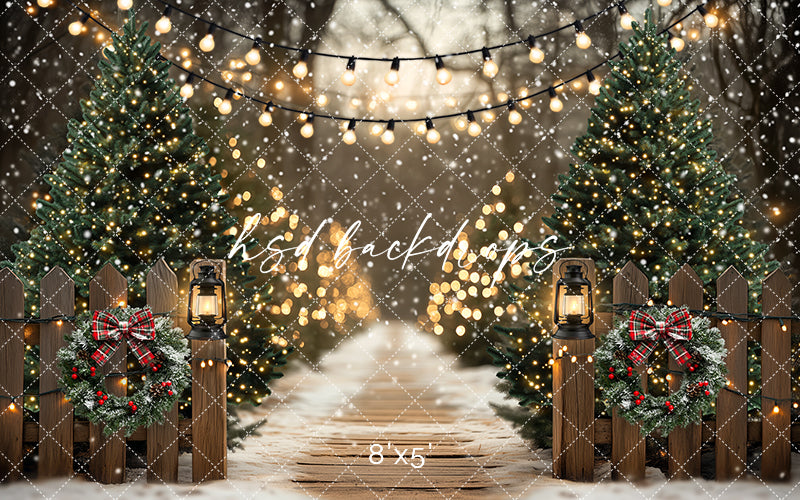 Tree Farm Pathway (sweep options) - HSD Photography Backdrops