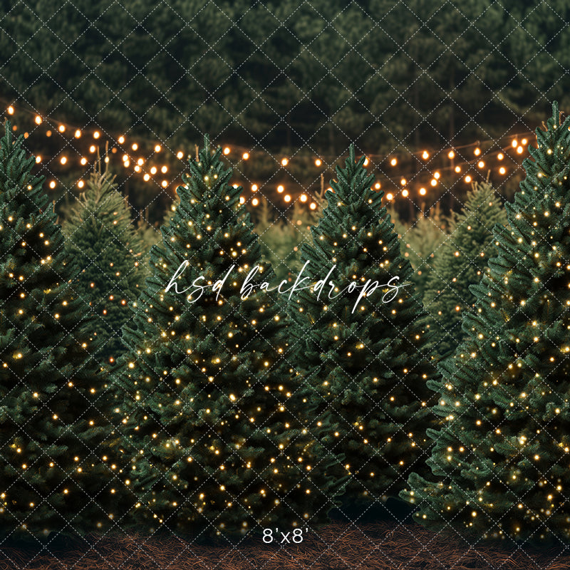 Christmas Room - CHS65473 - HSD Photography Backdrops