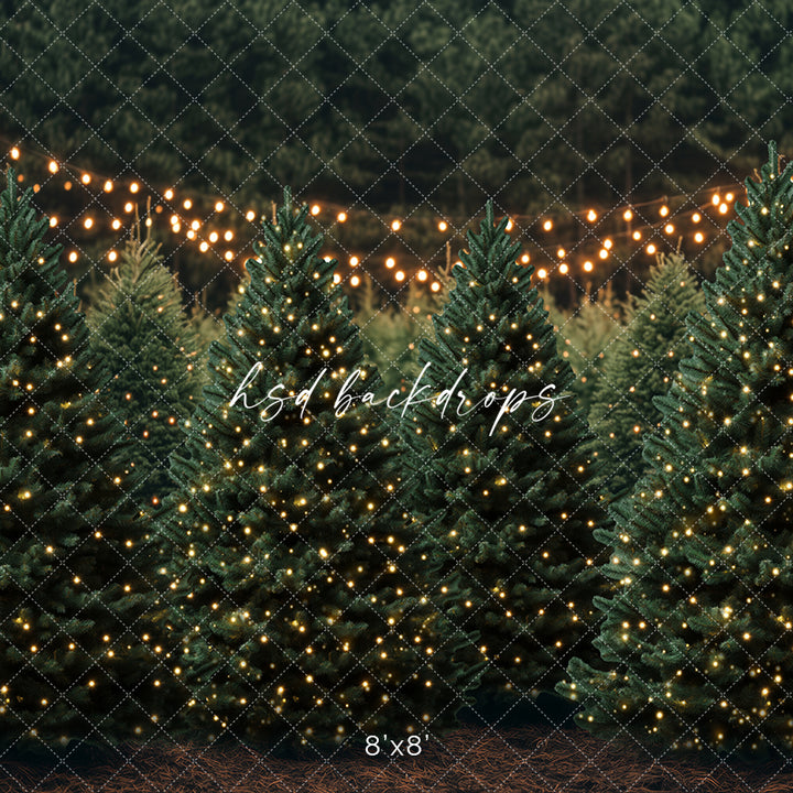 Christmas Room - CHS65473 - HSD Photography Backdrops