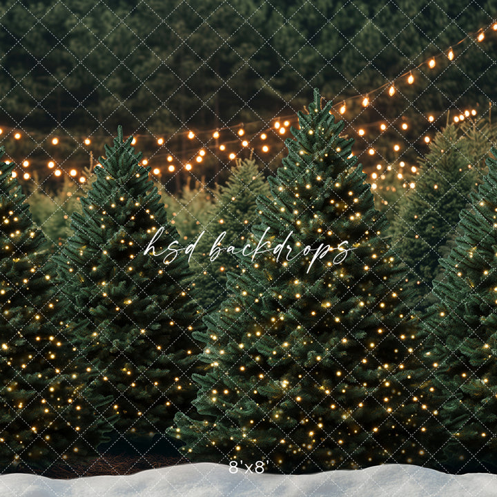 Christmas Room - CHS66474 - HSD Photography Backdrops