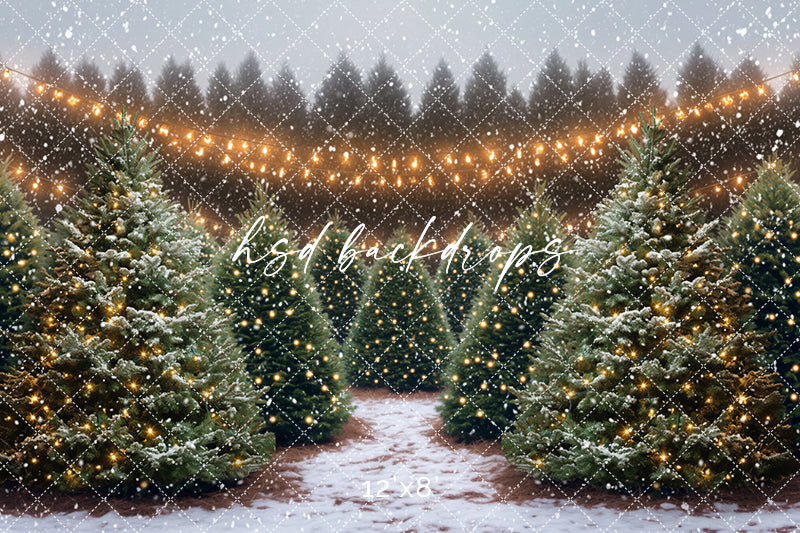 Snowy Tree Farm (sweep options) - HSD Photography Backdrops