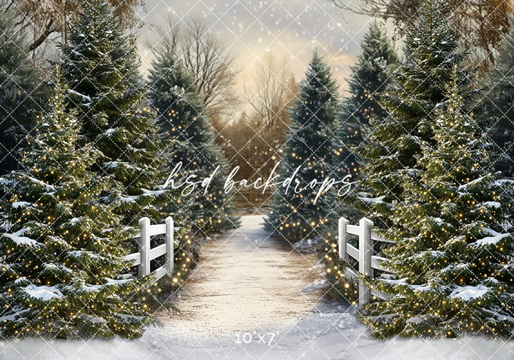 Snowy Winter Trees Pathway (sweep options) - HSD Photography Backdrops
