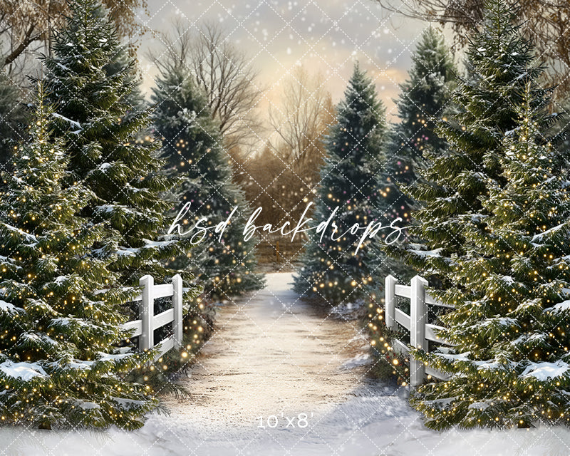 Snowy Winter Trees Pathway (sweep options) - HSD Photography Backdrops