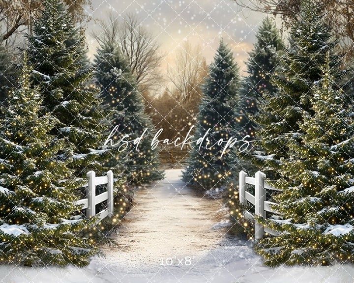 Snowy Winter Trees Pathway (sweep options) - HSD Photography Backdrops