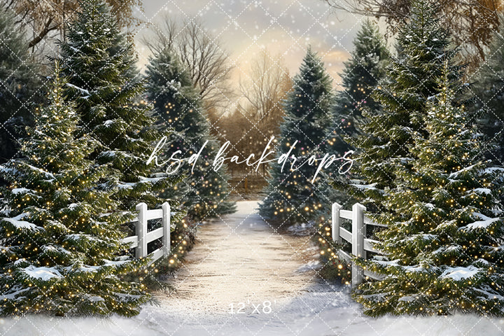 Snowy Winter Trees Pathway (sweep options) - HSD Photography Backdrops