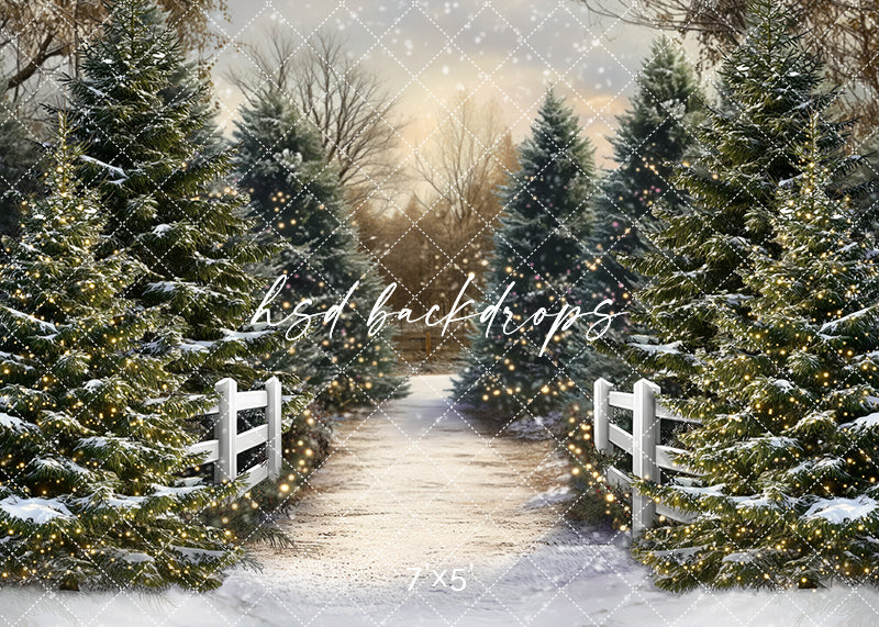Snowy Winter Trees Pathway (sweep options) - HSD Photography Backdrops