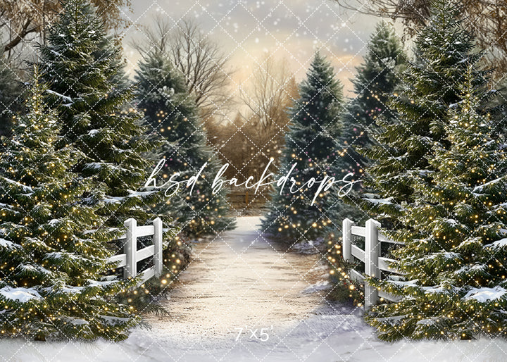 Snowy Winter Trees Pathway (sweep options) - HSD Photography Backdrops