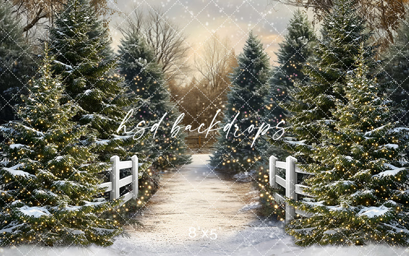 Snowy Winter Trees Pathway (sweep options) - HSD Photography Backdrops