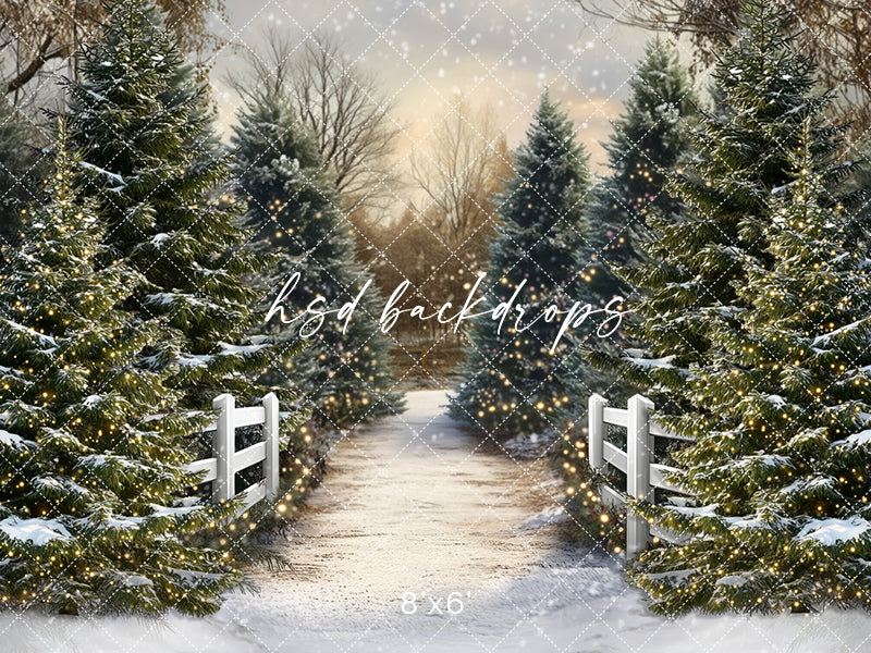 Snowy Winter Trees Pathway (sweep options) - HSD Photography Backdrops