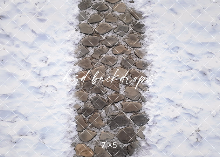 Snowy Winter Walkway - HSD Photography Backdrops