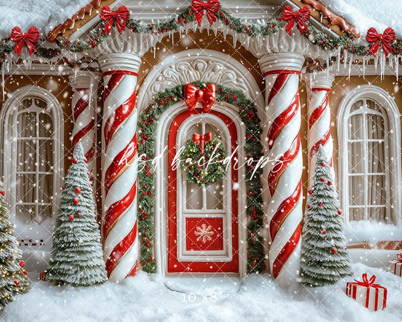 Christmas Gingerbread Door Photo Backdrop