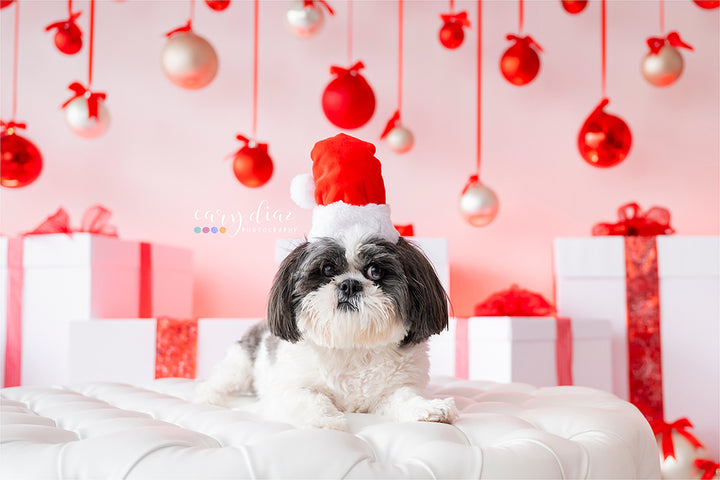 A Christmas Gift - HSD Photography Backdrops