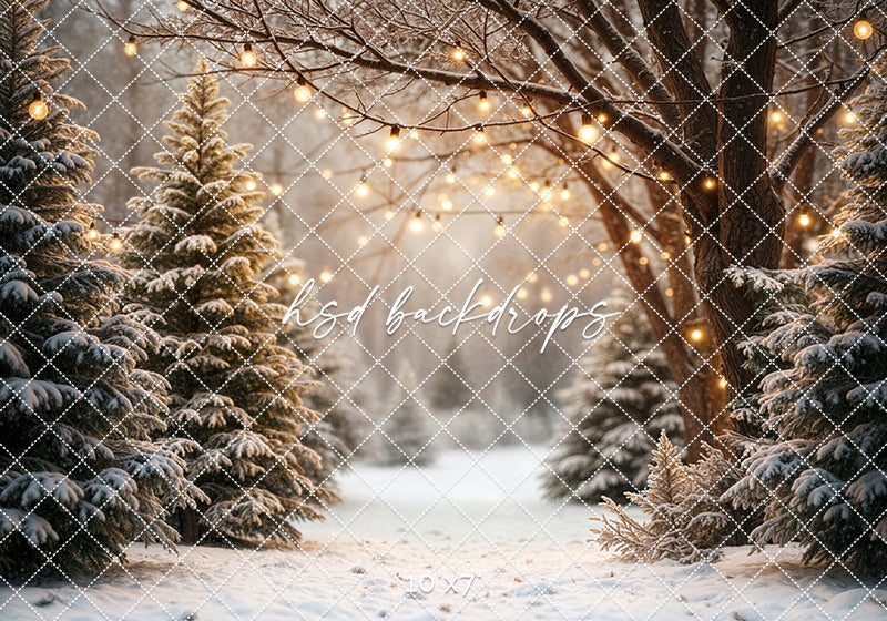 Cozy Pines Pathway (sweep options)