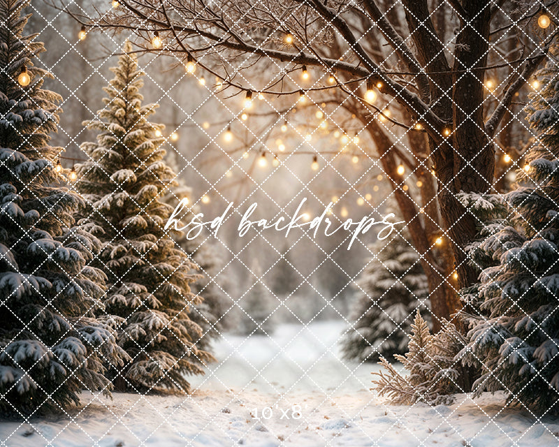 Cozy Pines Pathway (sweep options)