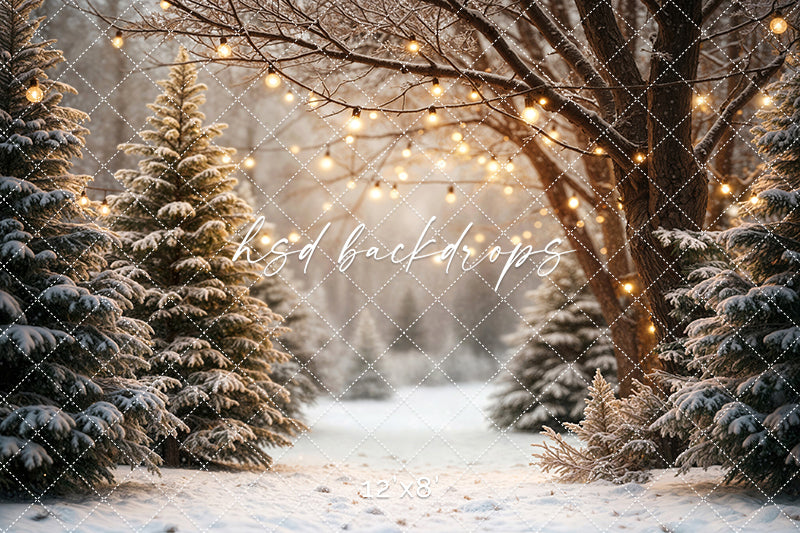 Cozy Pines Pathway (sweep options)