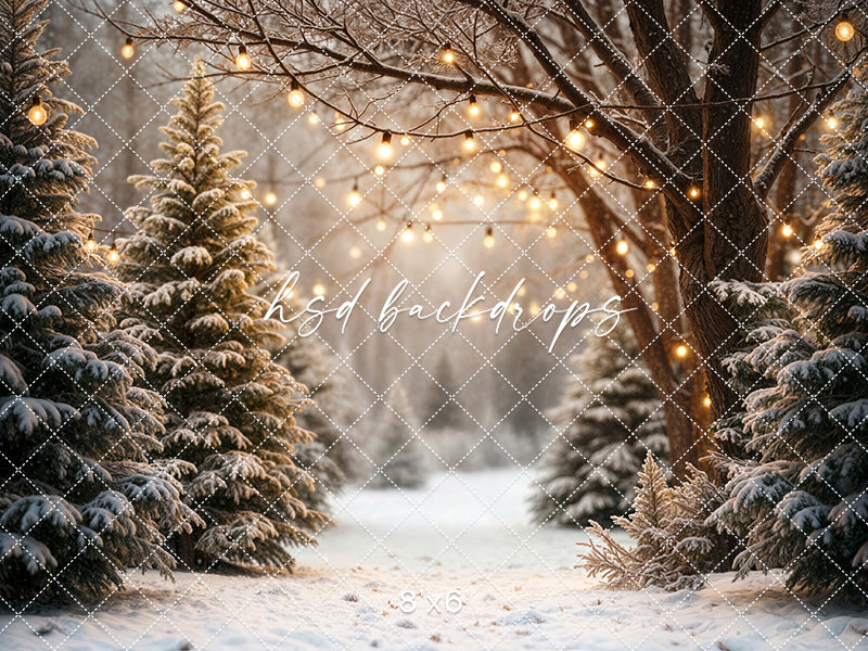 Cozy Pines Pathway (sweep options)