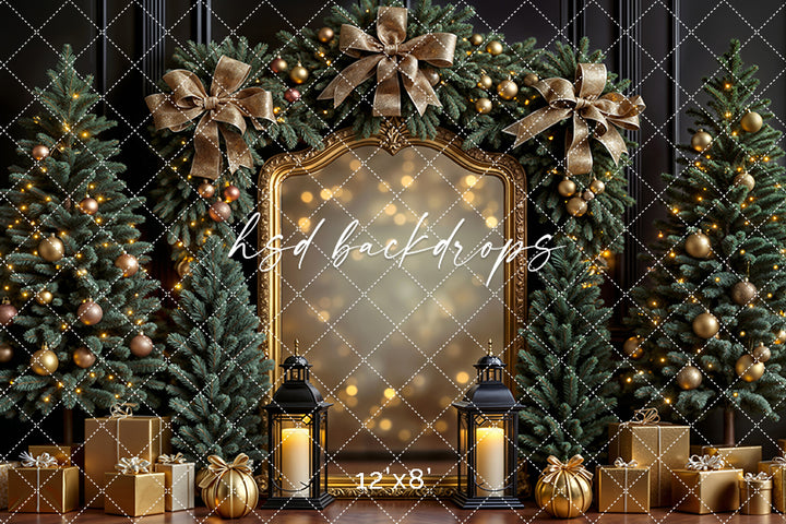 Midnight Gold Gilded Frame * Holiday Photo Background (sweep options)