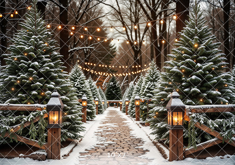 Evergreen Tree Farm Entrance at Night
