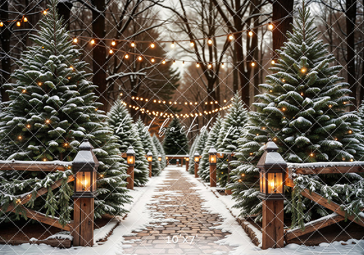 Evergreen Tree Farm Entrance at Night