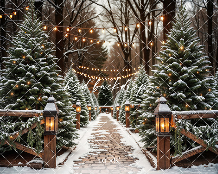 Evergreen Tree Farm Entrance at Night