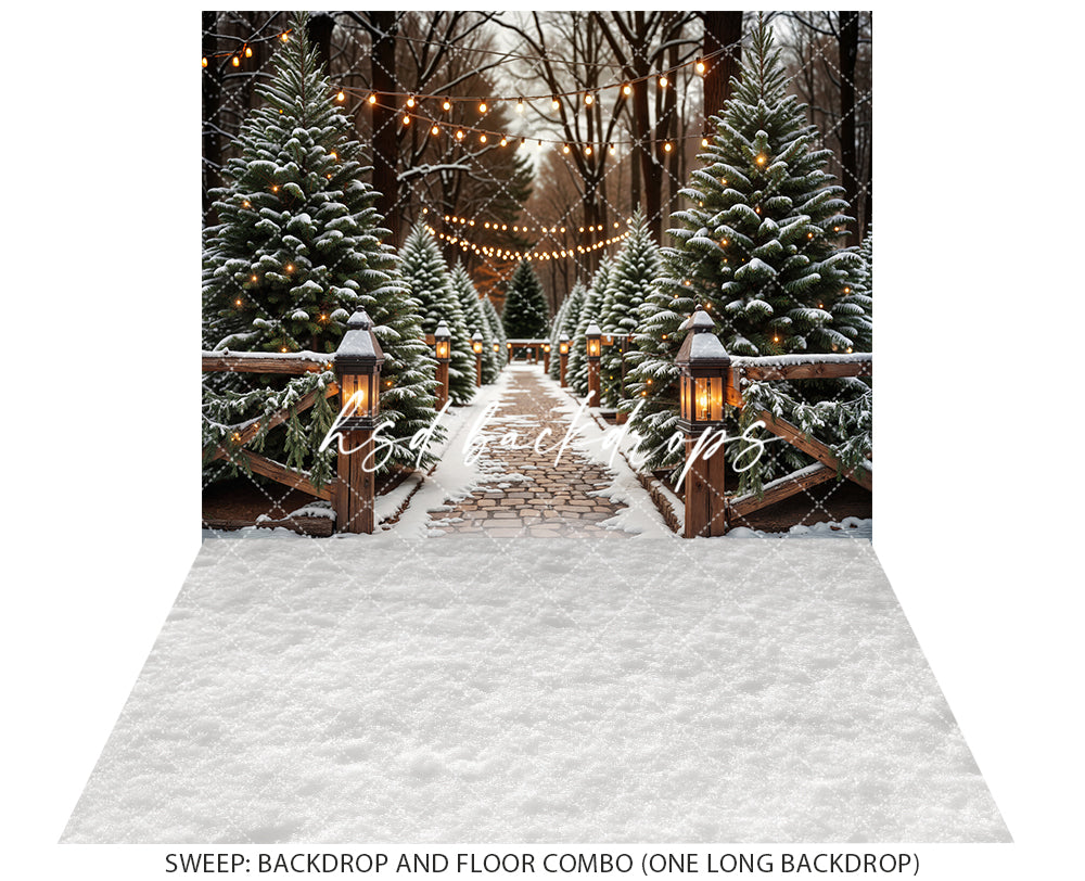 Evergreen Tree Farm Entrance at Night