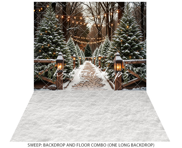 Evergreen Tree Farm Entrance at Night