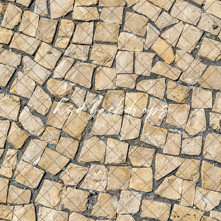 Paved Pathway photography backdrop floor 