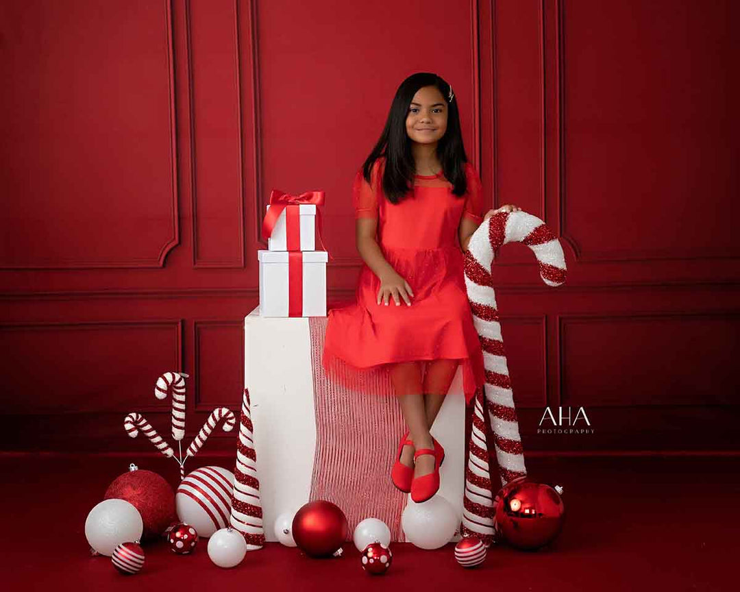 Elegant Red Wall - HSD Photography Backdrops