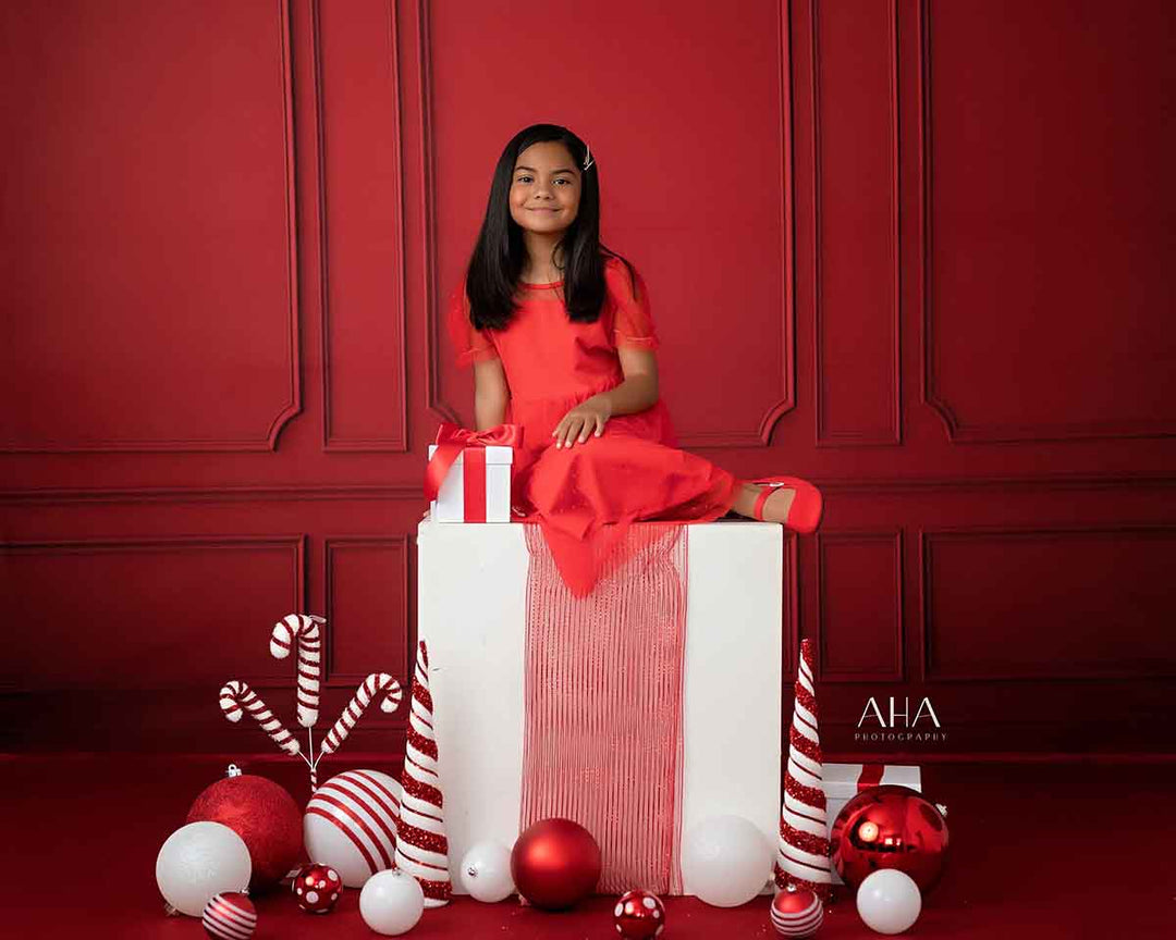 Elegant Red Wall - HSD Photography Backdrops