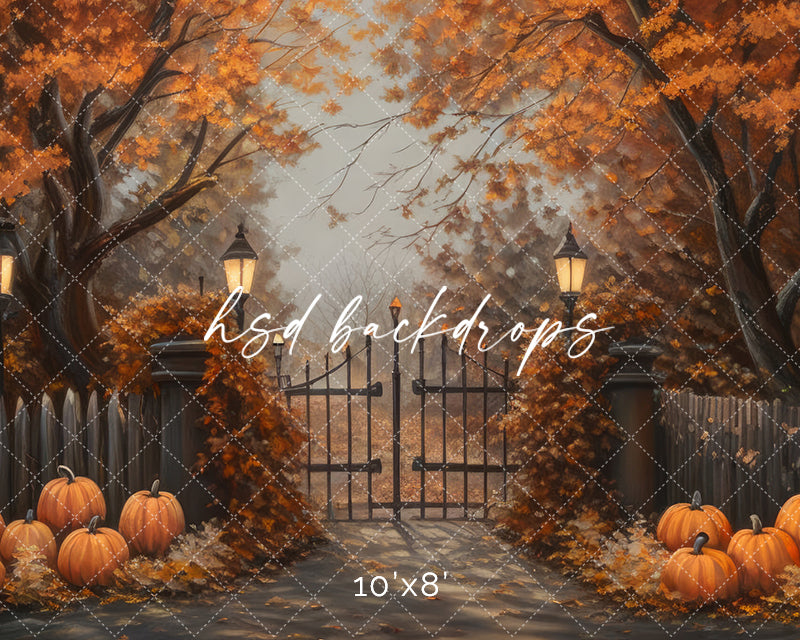 Hues of Autumn Entrance - HSD Photography Backdrops