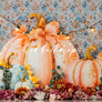 Pretty Little Pumpkin - HSD Photography Backdrops
