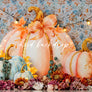 Pretty Little Pumpkin - HSD Photography Backdrops