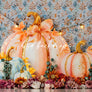 Pretty Little Pumpkin - HSD Photography Backdrops