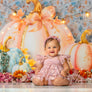 Pretty Little Pumpkin - HSD Photography Backdrops
