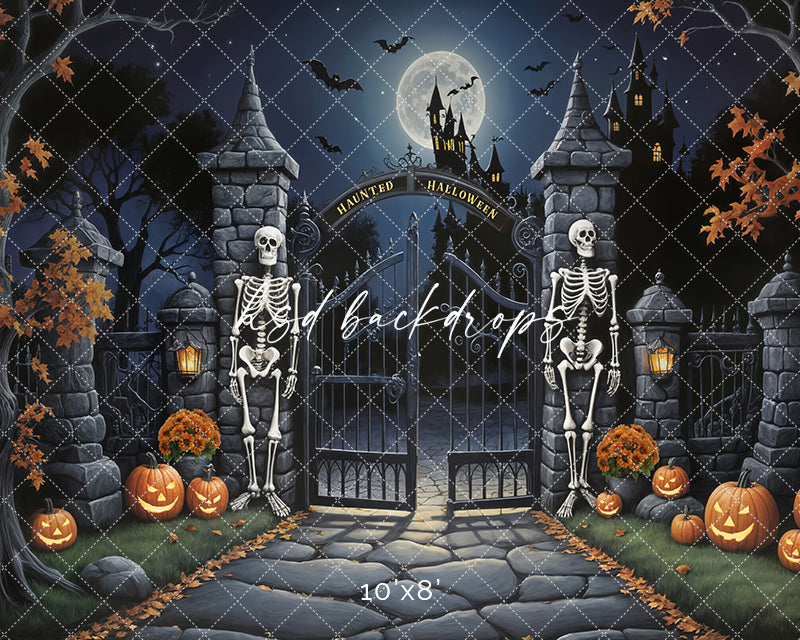 The Gate Keepers (sweep options) - HSD Photography Backdrops