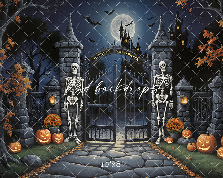The Gate Keepers (sweep options) - HSD Photography Backdrops