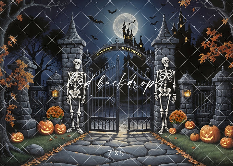 The Gate Keepers (sweep options) - HSD Photography Backdrops