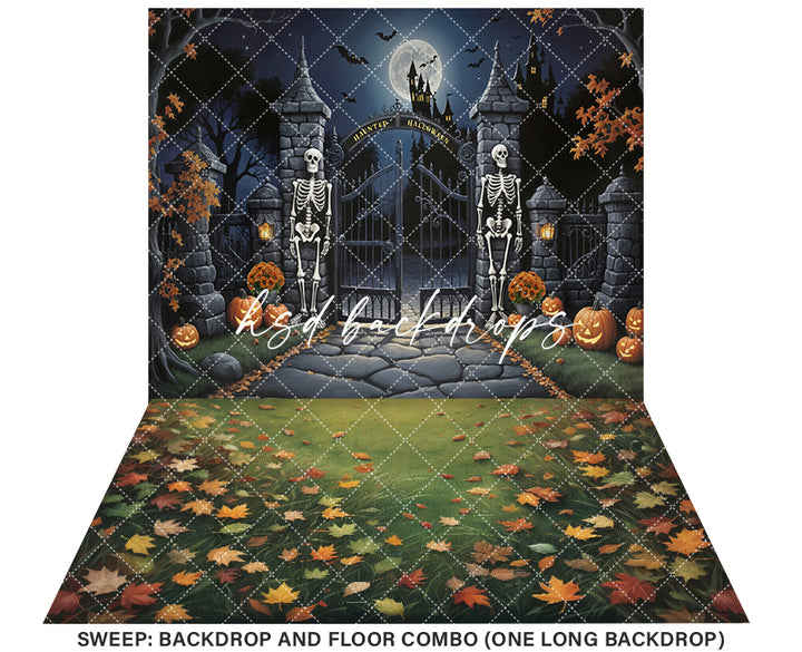 The Gate Keepers (sweep options) - HSD Photography Backdrops
