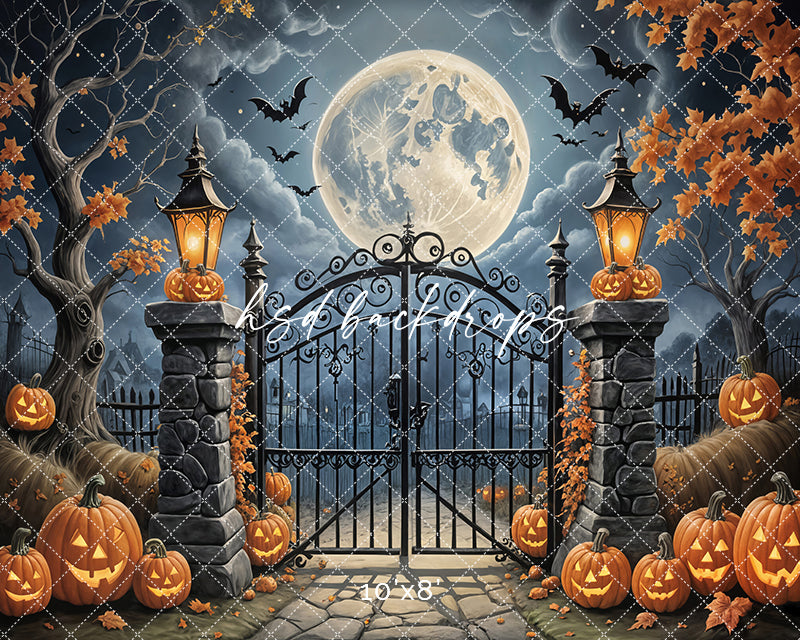 Spooky Gate (sweep options) - HSD Photography Backdrops