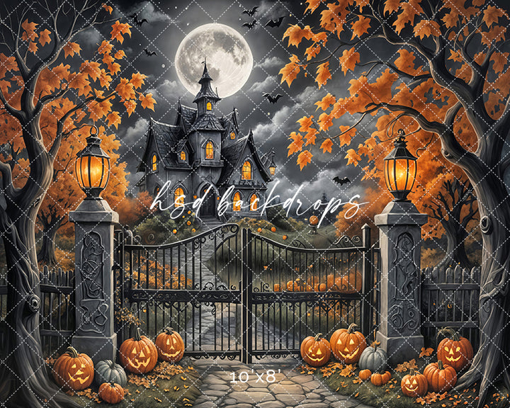 Keep Out (sweep options) - HSD Photography Backdrops