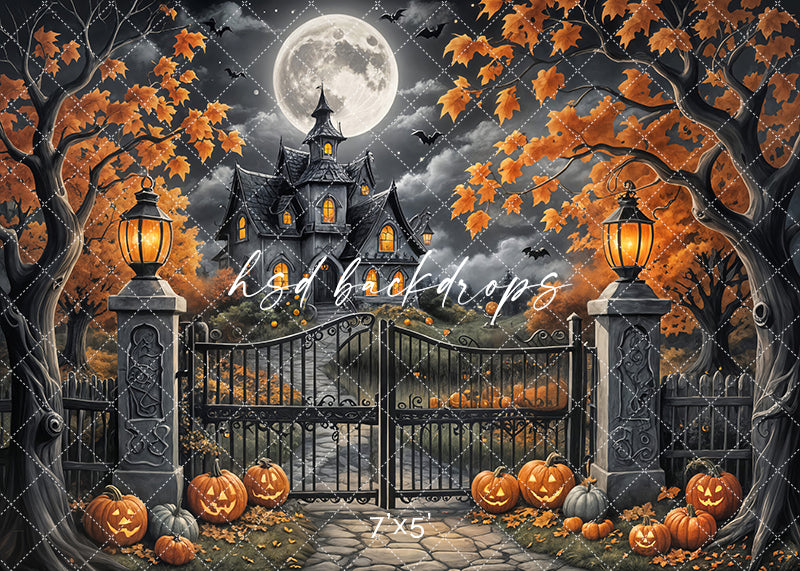 Keep Out (sweep options) - HSD Photography Backdrops