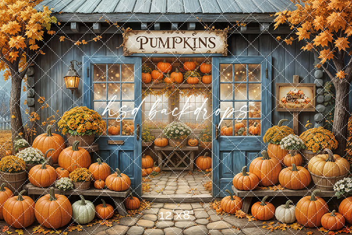 Blue Pumpkin Patch Barn (sweep options) - HSD Photography Backdrops