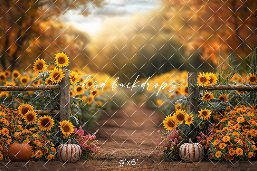 Sunflower Pathway (sweep options) - HSD Photography Backdrops