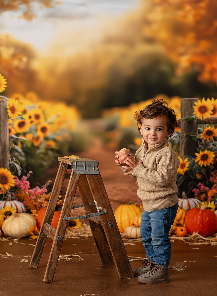 Sunflower Pathway (sweep options) - HSD Photography Backdrops