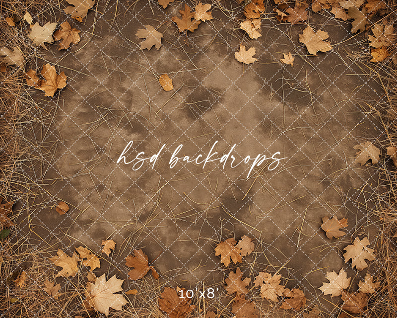 Autumn Leaves Pathway - HSD Photography Backdrops