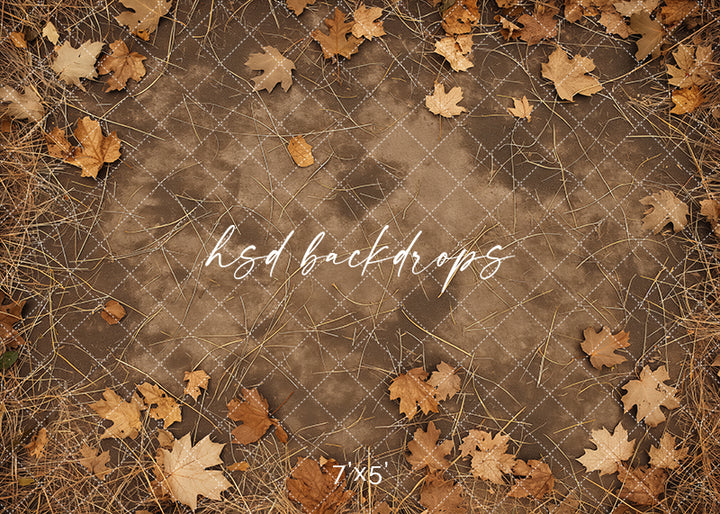 Autumn Leaves Pathway photography backdrop floor